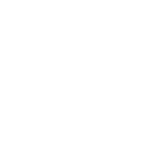 icon analytics