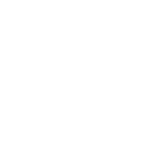icon digital display