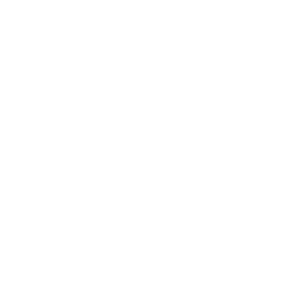 icon search