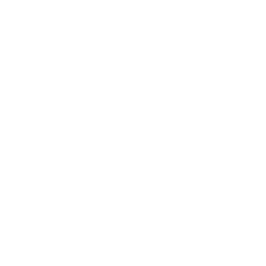 icon seo