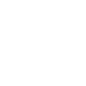 icon social