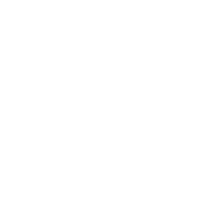 icon video